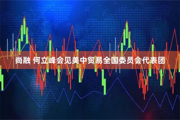 尚融 何立峰会见美中贸易全国委员会代表团